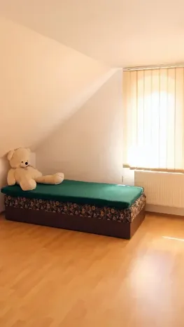 Prodej rodinného domu, Jaroměřice nad Rokytnou, Nábřežní, 161 m2