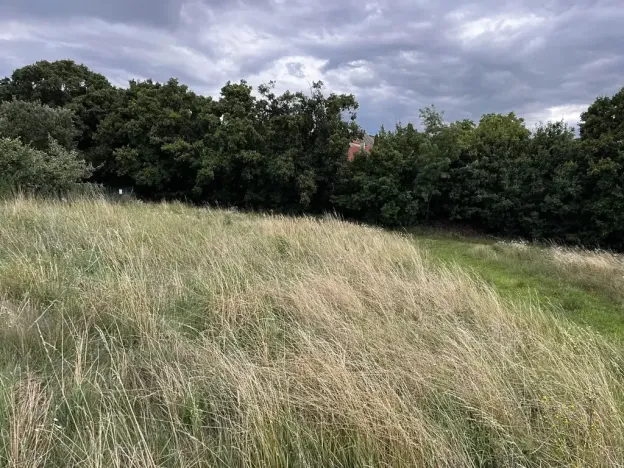 Prodej zahrady, Oslavany, 3447 m2