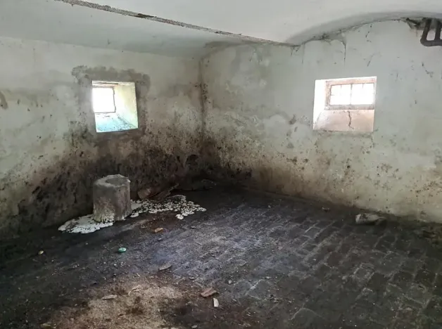 Prodej rodinného domu, Dlouhá Loučka, Valšův Důl, 195 m2