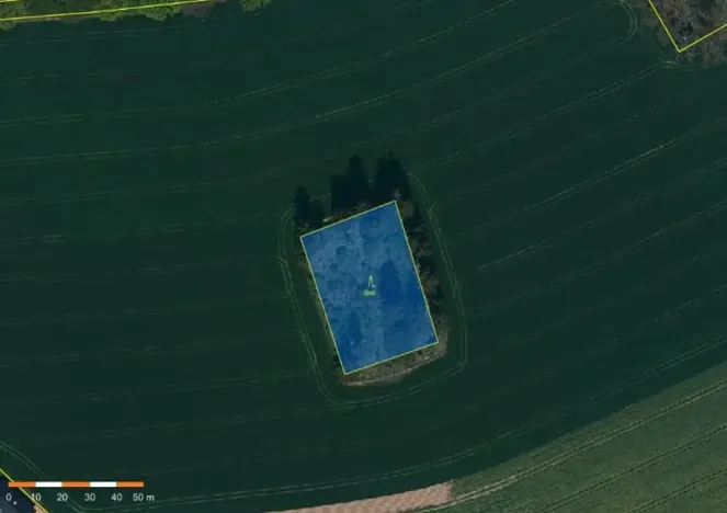 Prodej lesa, Třešť, 1987 m2