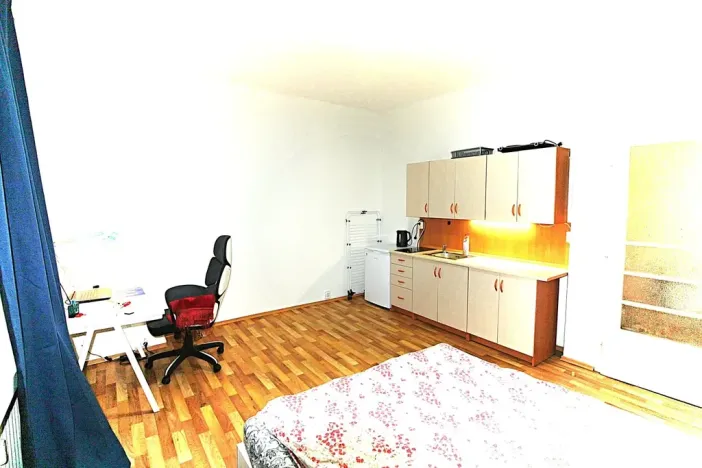 Pronájem bytu 1+kk, Praha - Nové Město, Na zbořenci, 24 m2