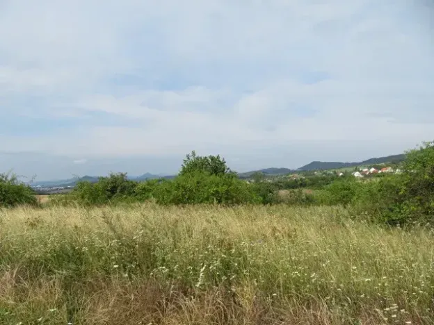 Dražba zahrady, Ploskovice, 23378 m2