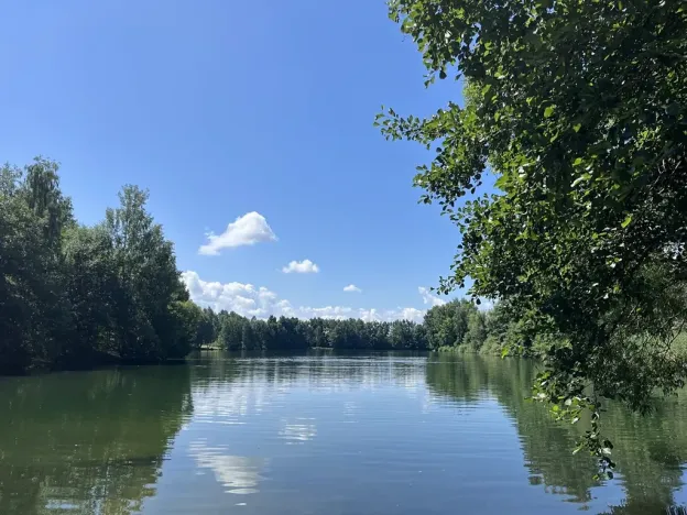 Prodej rodinného domu, Rodvínov, 134 m2