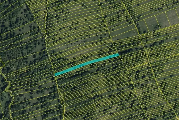 Prodej louky, Kněždub, 6886 m2