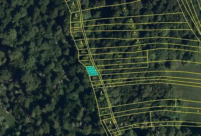 Prodej louky, Kněždub, 6886 m2