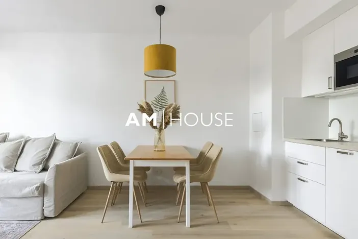 Pronájem bytu 2+kk, Praha - Žižkov, Olgy Havlové, 47 m2