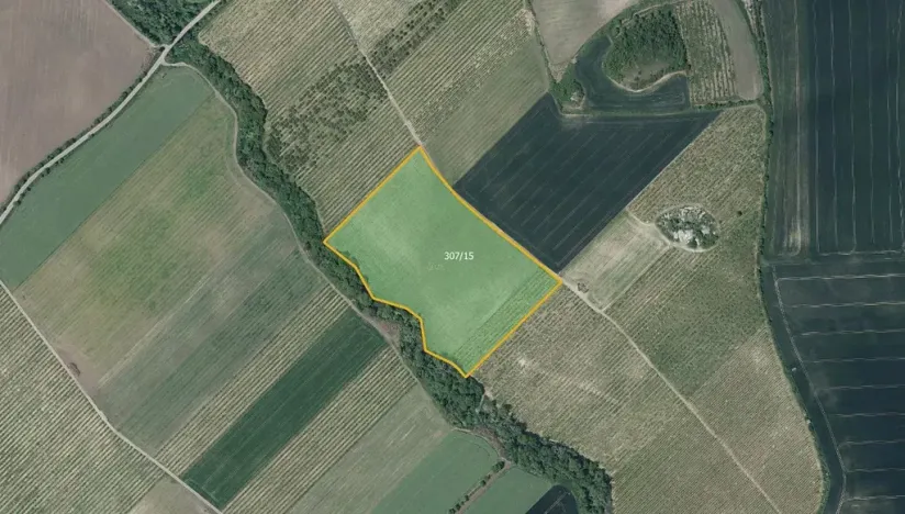 Prodej sadu/vinice, Želkovice, 42369 m2