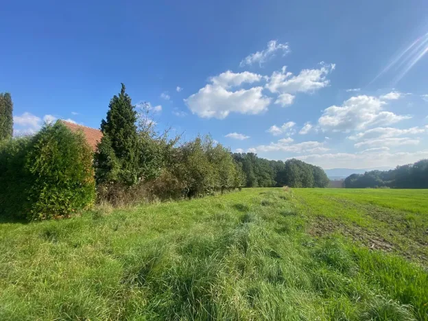 Prodej rodinného domu, Horní Bludovice, 524 m2