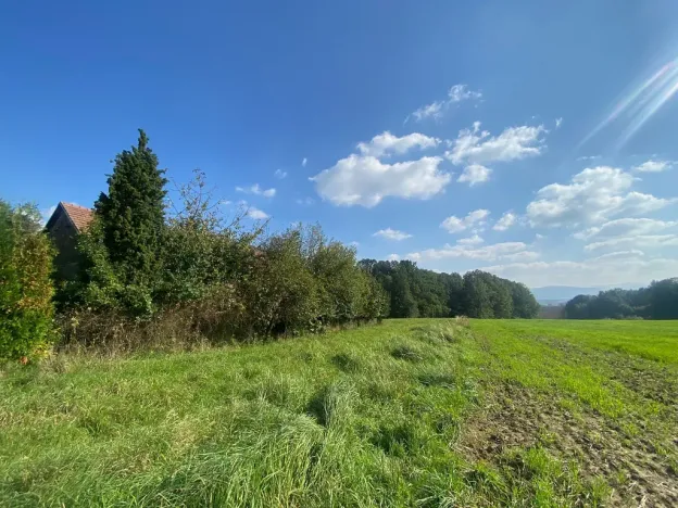 Prodej rodinného domu, Horní Bludovice, 524 m2