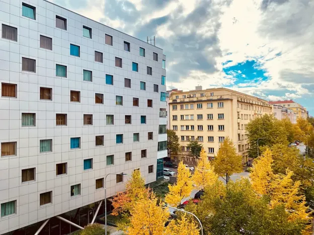 Pronájem bytu 2+1, Praha - Žižkov, Lucemburská, 68 m2