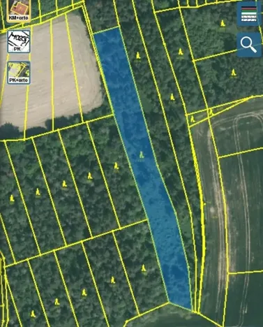 Dražba lesa, Blížejov, 4624 m2