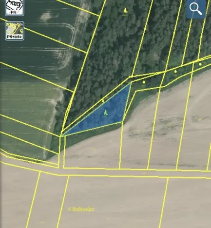 Dražba lesa, Blížejov, 1122 m2