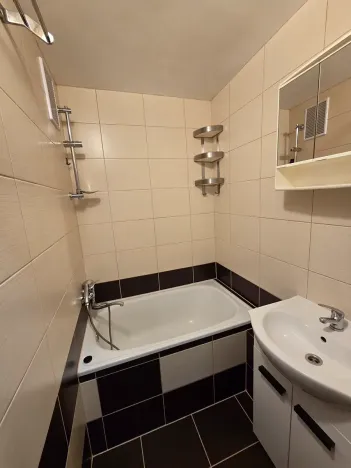 Pronájem bytu 1+1, Ostrava, Dr. Martínka, 37 m2