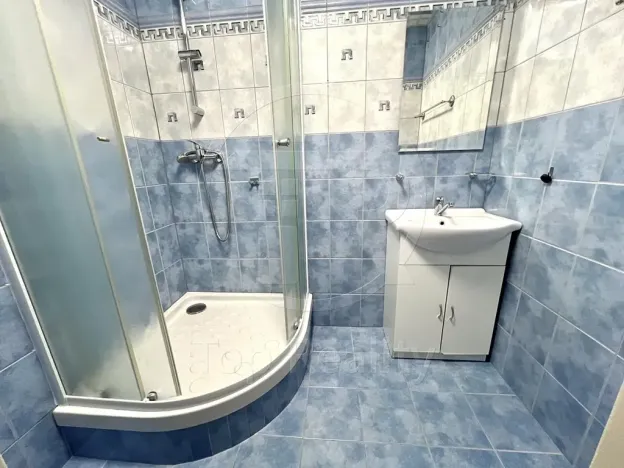 Pronájem bytu 2+1, Chodov, Revoluční, 56 m2