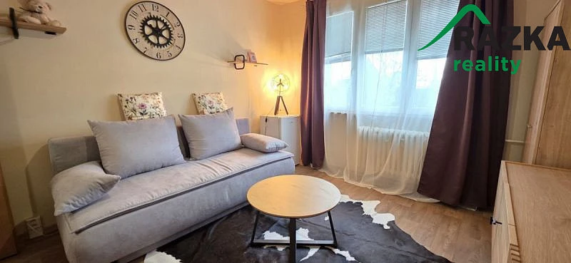 Pronájem bytu 1+kk, Tachov, Bělojarská, 25 m2