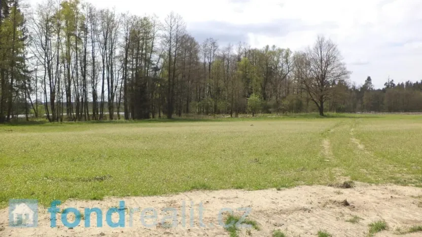 Prodej pozemku, Stráž nad Nežárkou, 6528 m2