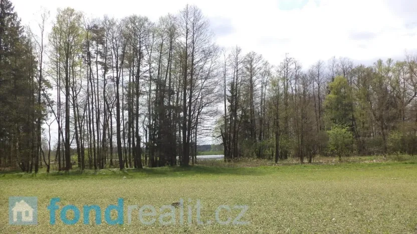 Prodej pozemku, Stráž nad Nežárkou, 6528 m2