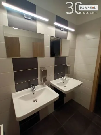 Pronájem kanceláře, Ostrava, 303 m2