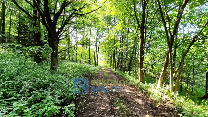 Prodej rodinného domu, Trutnov - Babí, 320 m2