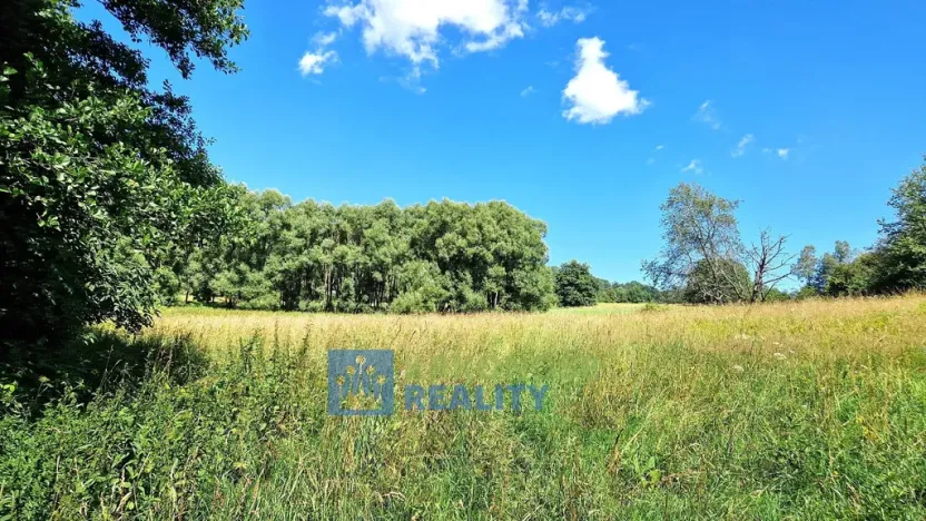 Prodej louky, Trutnov - Babí, 68585 m2