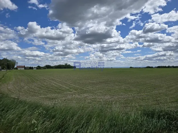 Prodej pozemku pro bydlení, Osice, 4000 m2