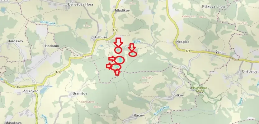 Prodej lesa, Vacov, 14711 m2