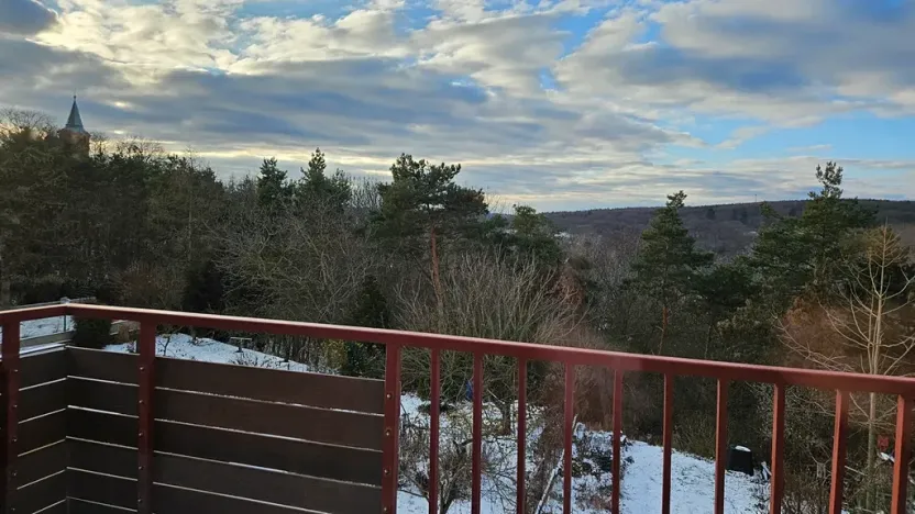 Pronájem pokoje, Praha - Dejvice, Starého, 15 m2