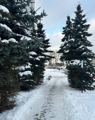 Pronájem bytu 1+kk, Liberec - Liberec XXX-Vratislavice nad Nisou, U Sila, 33 m2