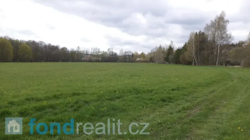 Prodej pole, Tachov, 69579 m2