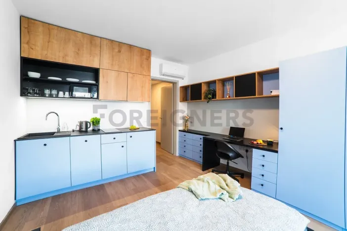 Pronájem bytu 1+kk, Olomouc, Edmunda Husserla, 29 m2