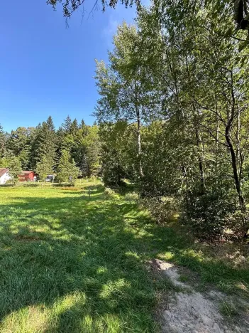 Dražba pozemku, Krompach, 21972 m2