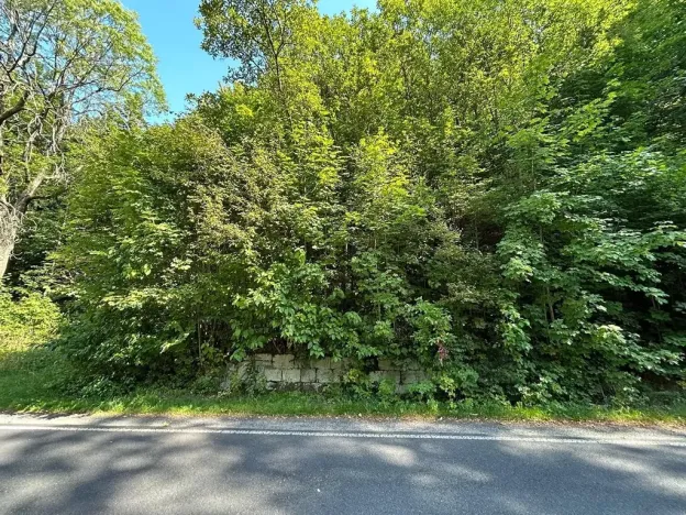 Dražba pozemku, Krompach, 21972 m2