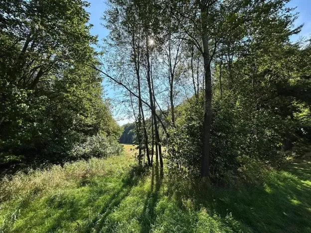 Dražba pozemku, Krompach, 21972 m2