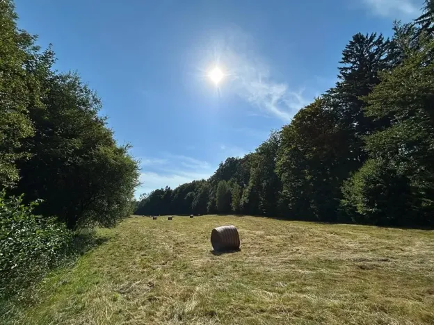 Dražba pozemku, Krompach, 21972 m2