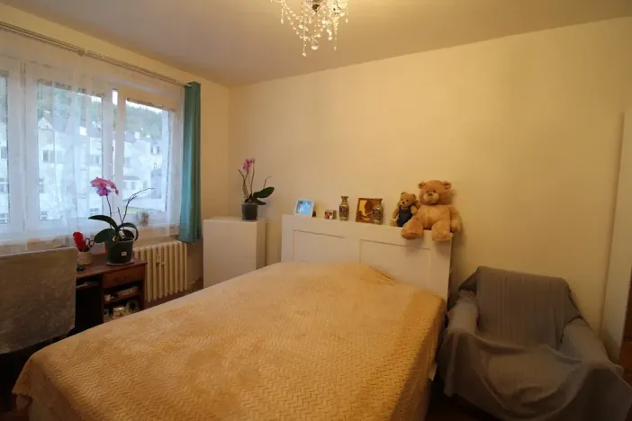 Prodej bytu 3+1, Karlovy Vary, Krymská, 68 m2