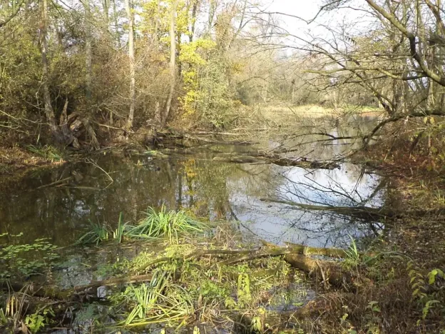 Dražba pozemku, Otrokovice, 810 m2