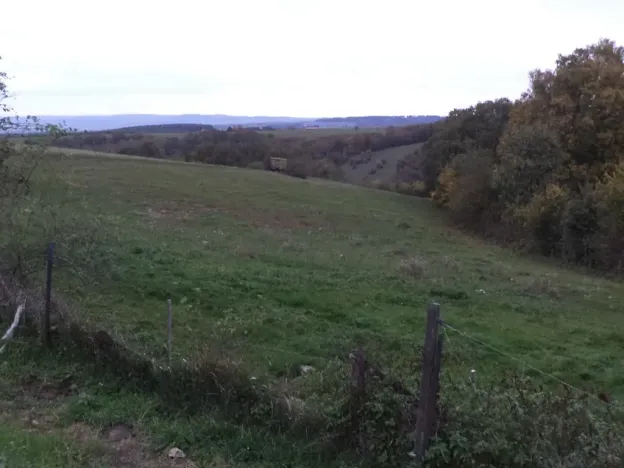 Dražba louky, Kelníky, 1707 m2