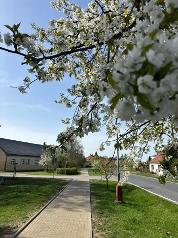 Prodej pozemku pro bydlení, Loučeň, Spojovací, 1321 m2