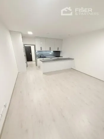 Pronájem bytu 1+kk, Přerov, Seifertova, 39 m2