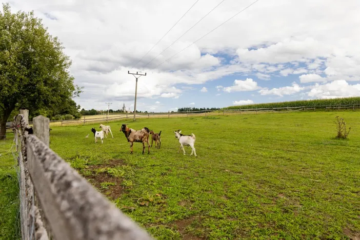 Prodej chaty, Litíč, 60 m2