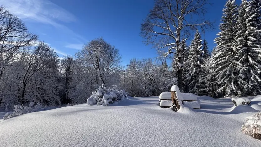 Prodej chaty, Kořenov - Polubný, 223 m2