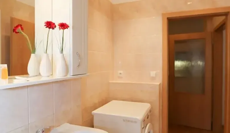 Pronájem bytu 2+kk, Praha - Vinohrady, Na Kozačce, 48 m2