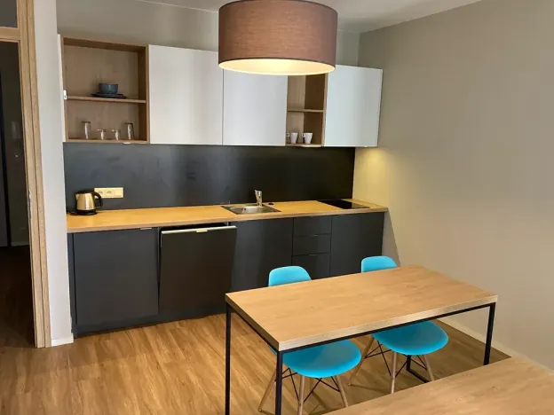 Pronájem bytu 2+kk, Plzeň, Pallova, 52 m2