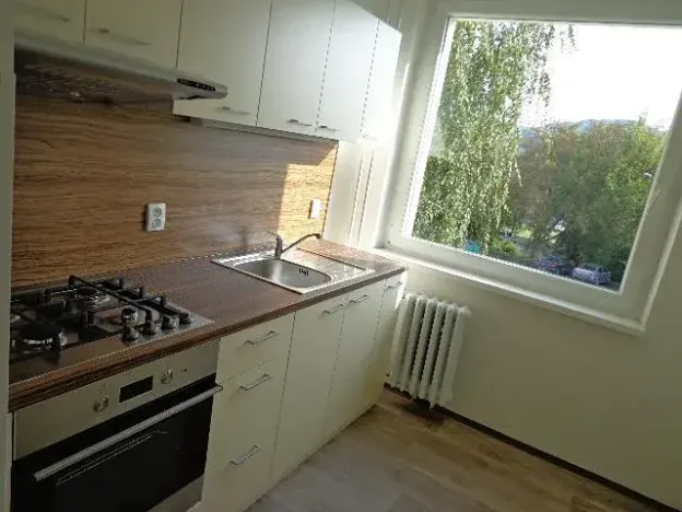 Pronájem bytu 3+1, Ústí nad Labem, Dr. Horákové, 90 m2