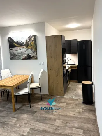 Pronájem bytu 2+kk, Teplice, Arbesova, 47 m2