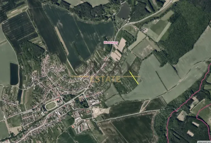 Prodej louky, Březolupy, 1729 m2