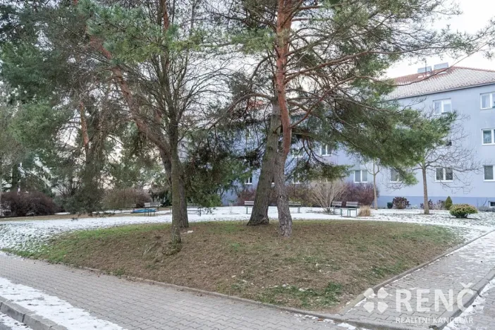 Pronájem bytu 1+1, Brno, Sibiřská, 29 m2