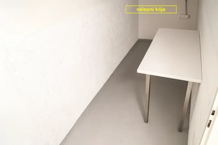 Pronájem bytu 1+kk, Brno, Botanická, 50 m2