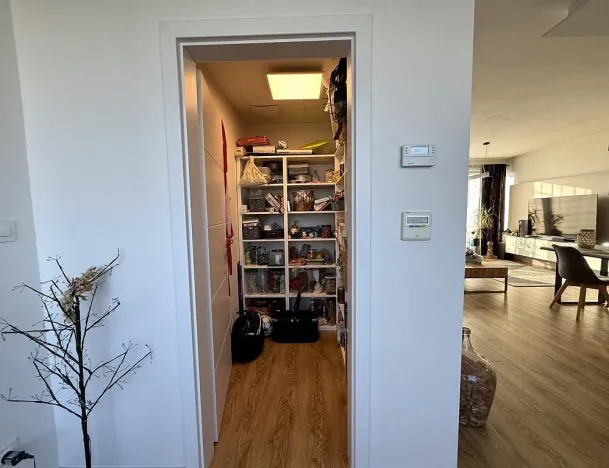 Pronájem bytu 3+kk, Brno - Sadová, Kumpoštova, 152 m2