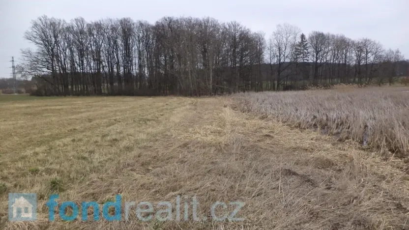 Prodej pole, Dříteň, 1815 m2